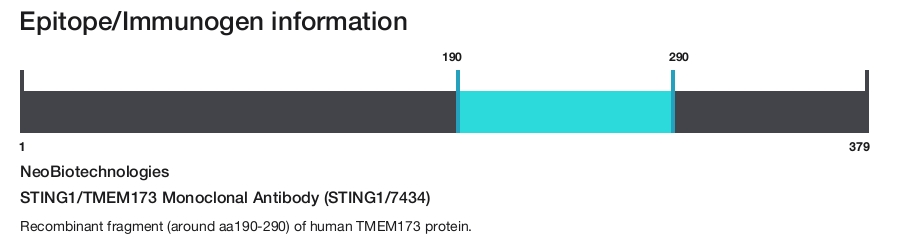 STING1/TMEM173 Monoclonal Antibody (STING1/7434)