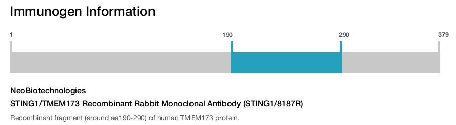 STING1/TMEM173 Recombinant Rabbit Monoclonal Antibody (STING1/8187R)