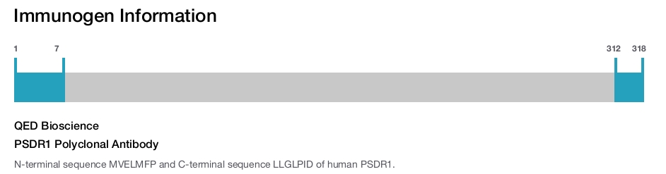 PSDR1 Polyclonal Antibody