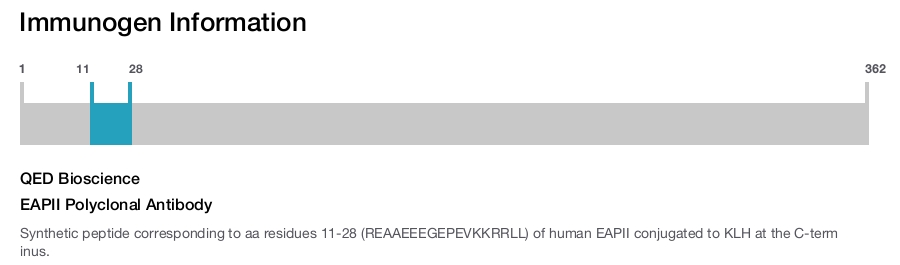 EAPII Polyclonal Antibody