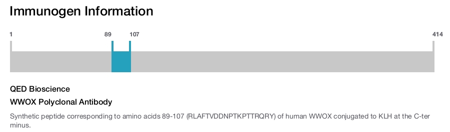 WWOX Polyclonal Antibody