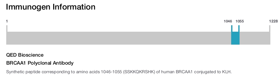 BRCAA1 Polyclonal Antibody