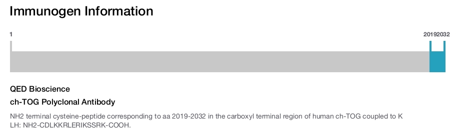 ch-TOG Polyclonal Antibody