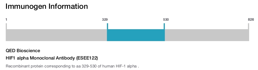 HIF1 alpha Monoclonal Antibody (ESEE122)