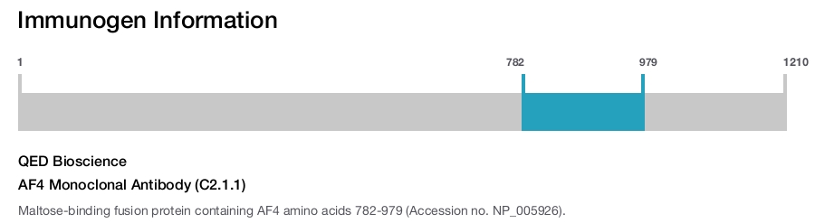 AF4 Monoclonal Antibody (C2.1.1)