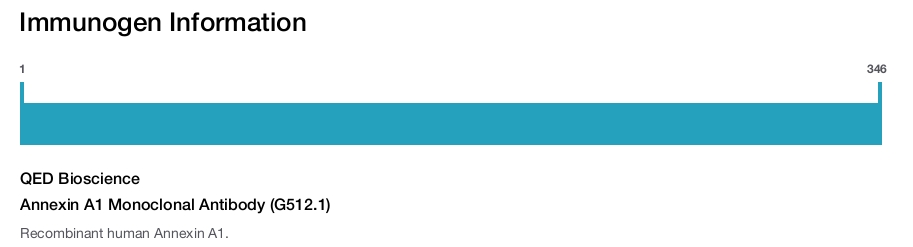 Annexin A1 Monoclonal Antibody (G512.1)