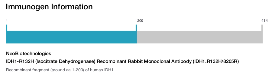 IDH1-R132H (Isocitrate Dehydrogenase) Recombinant Rabbit Monoclonal Antibody (IDH1.R132H/8205R)