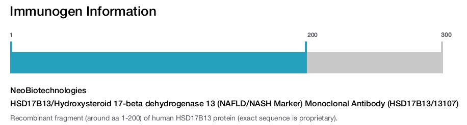 HSD17B13/Hydroxysteroid 17-beta dehydrogenase 13 (NAFLD/NASH Marker) Monoclonal Antibody (HSD17B13/13107)