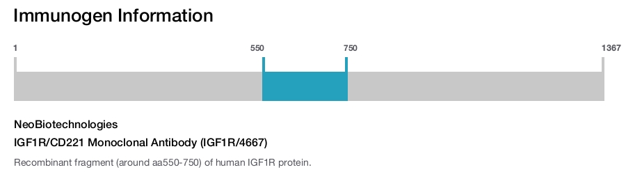 IGF1R/CD221 Monoclonal Antibody (IGF1R/4667)