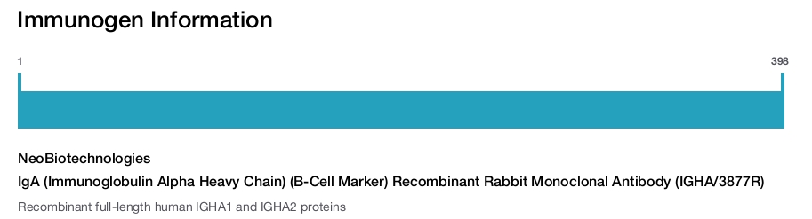 IgA (Immunoglobulin Alpha Heavy Chain) (B-Cell Marker) Recombinant Rabbit Monoclonal Antibody (IGHA/3877R)