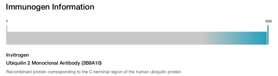Ubiquilin 2 Monoclonal Antibody (3B8A10)