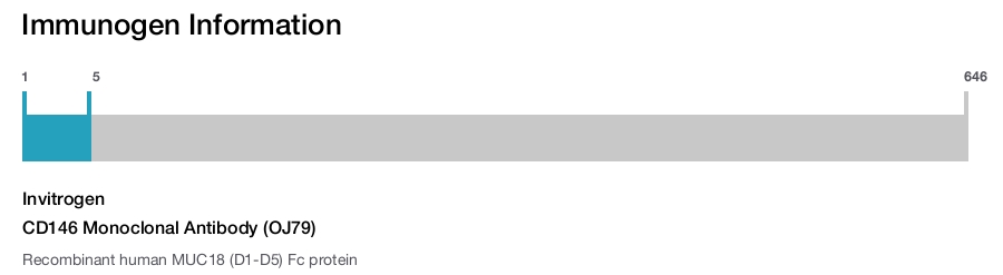 CD146 Monoclonal Antibody (OJ79)