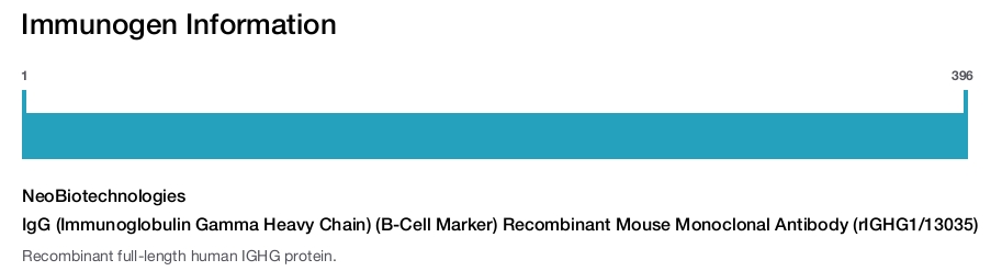 IgG (Immunoglobulin Gamma Heavy Chain) (B-Cell Marker) Recombinant Mouse Monoclonal Antibody (rIGHG1/13035)