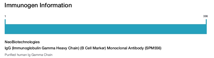 IgG (Immunoglobulin Gamma Heavy Chain) (B Cell Marker) Monoclonal Antibody (SPM556)