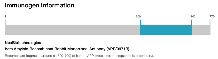 beta Amyloid Recombinant Rabbit Monoclonal Antibody (APP/9971R)