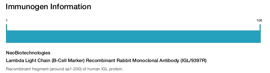Lambda Light Chain (B-Cell Marker) Recombinant Rabbit Monoclonal Antibody (IGL/9397R)