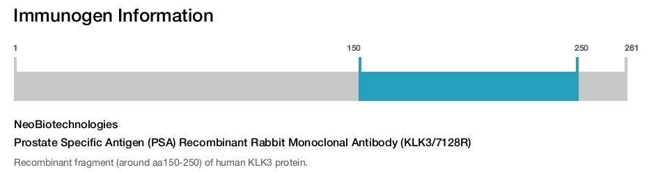 Prostate Specific Antigen (PSA) Recombinant Rabbit Monoclonal Antibody (KLK3/7128R)
