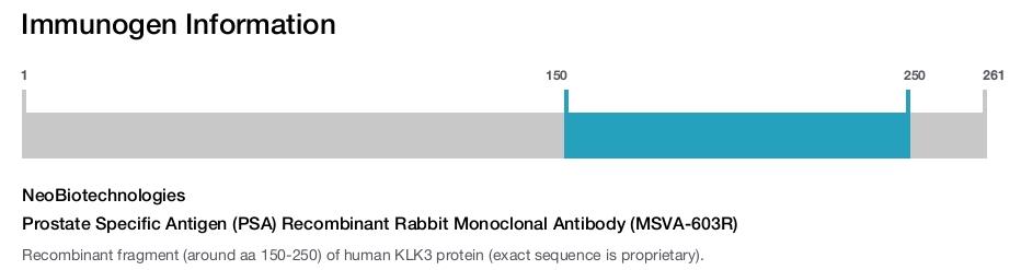 Prostate Specific Antigen (PSA) Recombinant Rabbit Monoclonal Antibody (MSVA-603R)