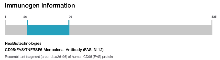 CD95/FAS/TNFRSF6 Monoclonal Antibody (FAS, 3112)