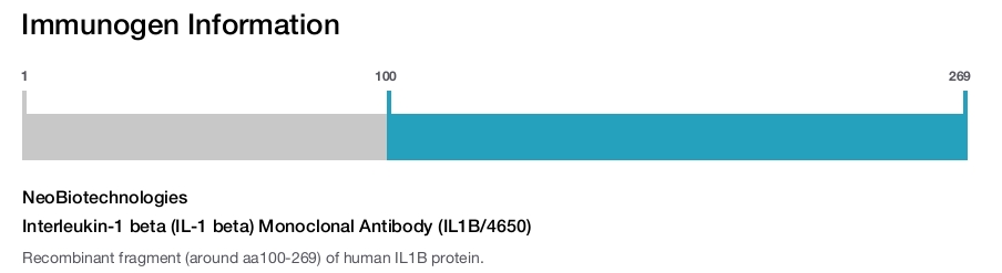 Interleukin-1 beta (IL-1 beta) Monoclonal Antibody (IL1B/4650)