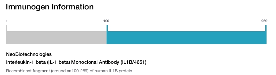 Interleukin-1 beta (IL-1 beta) Monoclonal Antibody (IL1B/4651)