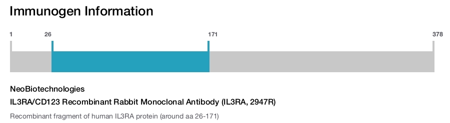IL3RA/CD123 Recombinant Rabbit Monoclonal Antibody (IL3RA, 2947R)
