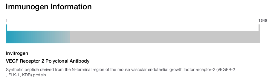 VEGF Receptor 2 Polyclonal Antibody