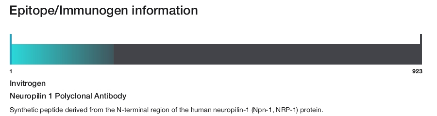 Neuropilin 1 Polyclonal Antibody