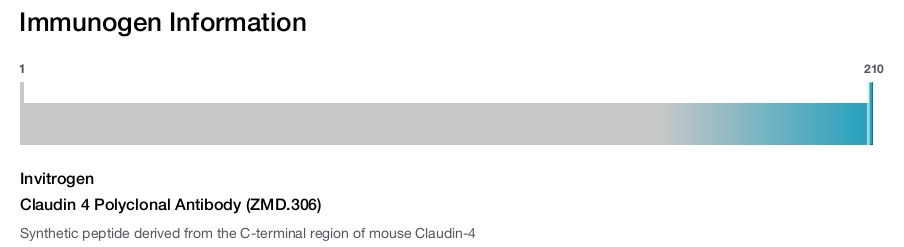 Claudin 4 Polyclonal Antibody (ZMD.306)