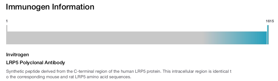 LRP5 Polyclonal Antibody