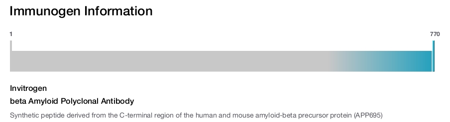 beta Amyloid Polyclonal Antibody