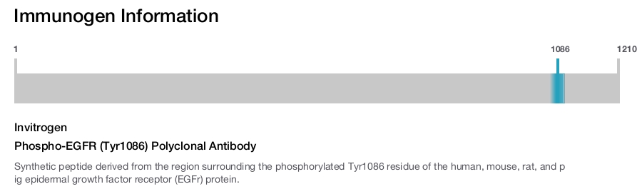 Phospho-EGFR (Tyr1086) Polyclonal Antibody