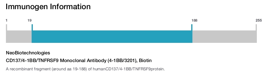 CD137/4-1BB/TNFRSF9 Monoclonal Antibody (4-1BB/3201), Biotin
