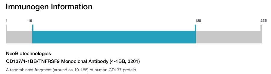 CD137/4-1BB/TNFRSF9 Monoclonal Antibody (4-1BB, 3201)