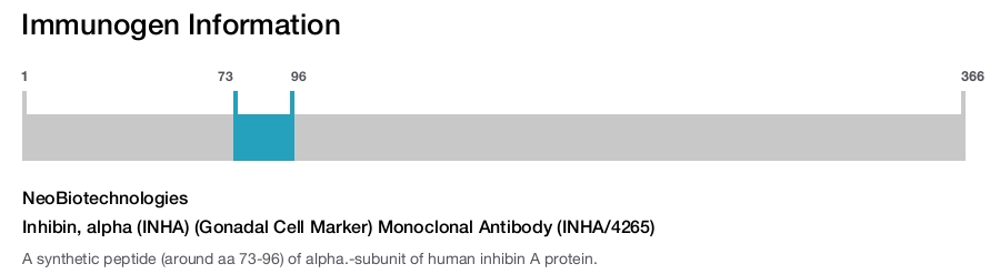 Inhibin, alpha (INHA) (Gonadal Cell Marker) Monoclonal Antibody (INHA/4265)