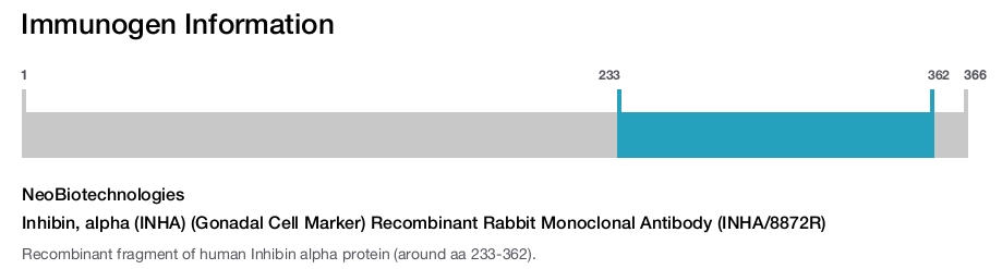 Inhibin, alpha (INHA) (Gonadal Cell Marker) Recombinant Rabbit Monoclonal Antibody (INHA/8872R)