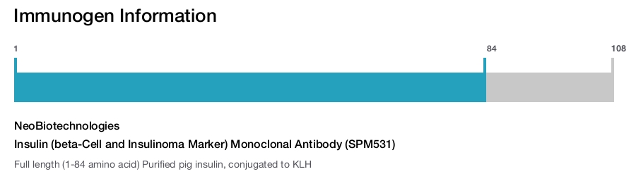 Insulin (beta-Cell and Insulinoma Marker) Monoclonal Antibody (SPM531)