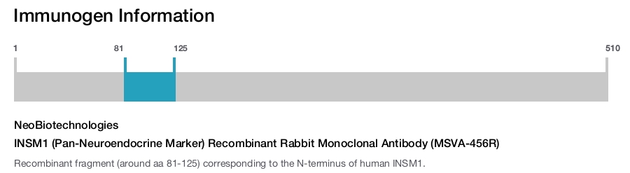 INSM1 (Pan-Neuroendocrine Marker) Recombinant Rabbit Monoclonal Antibody (MSVA-456R)