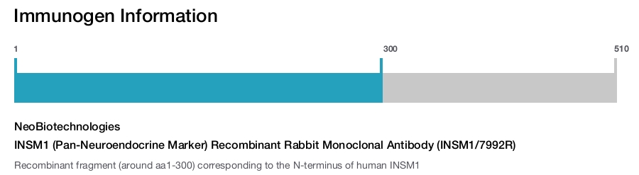 INSM1 (Pan-Neuroendocrine Marker) Recombinant Rabbit Monoclonal Antibody (INSM1/7992R)