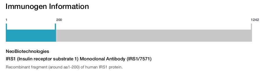 IRS1 (Insulin receptor substrate 1) Monoclonal Antibody (IRS1/7571)