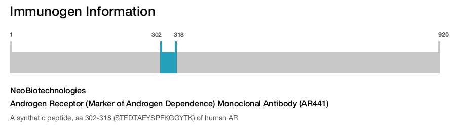 Androgen Receptor (Marker of Androgen Dependence) Monoclonal Antibody (AR441)