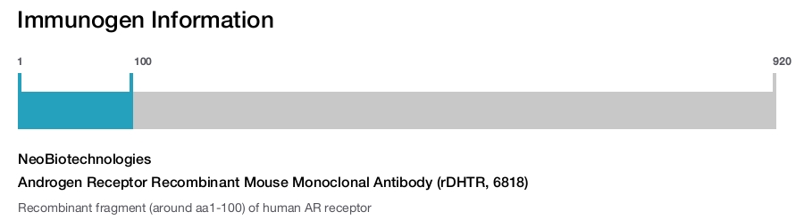 Androgen Receptor Recombinant Mouse Monoclonal Antibody (rDHTR, 6818)