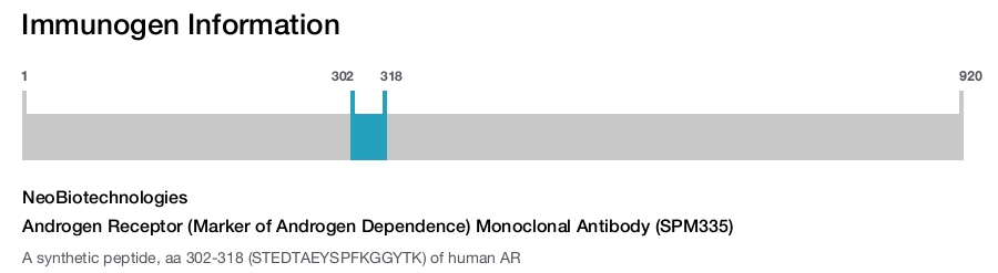 Androgen Receptor (Marker of Androgen Dependence) Monoclonal Antibody (SPM335)
