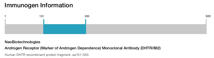 Androgen Receptor (Marker of Androgen Dependence) Monoclonal Antibody (DHTR/882)