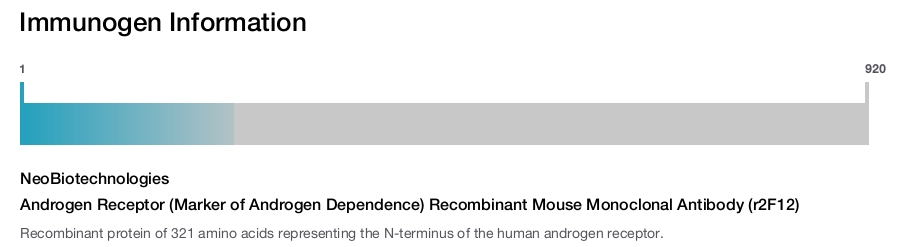 Androgen Receptor (Marker of Androgen Dependence) Recombinant Mouse Monoclonal Antibody (r2F12)