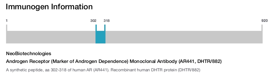 Androgen Receptor (Marker of Androgen Dependence) Monoclonal Antibody (AR441, DHTR/882)