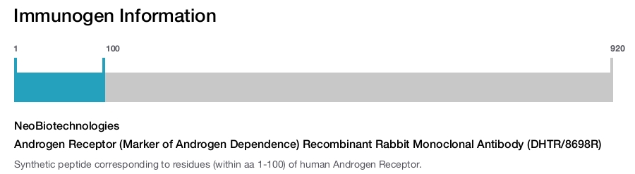 Androgen Receptor (Marker of Androgen Dependence) Recombinant Rabbit Monoclonal Antibody (DHTR/8698R)
