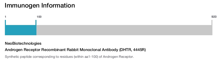 Androgen Receptor Recombinant Rabbit Monoclonal Antibody (DHTR, 4445R)