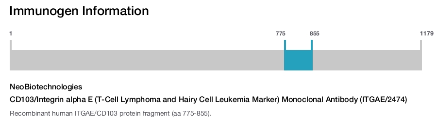 CD103/Integrin alpha E (T-Cell Lymphoma and Hairy Cell Leukemia Marker) Monoclonal Antibody (ITGAE/2474)