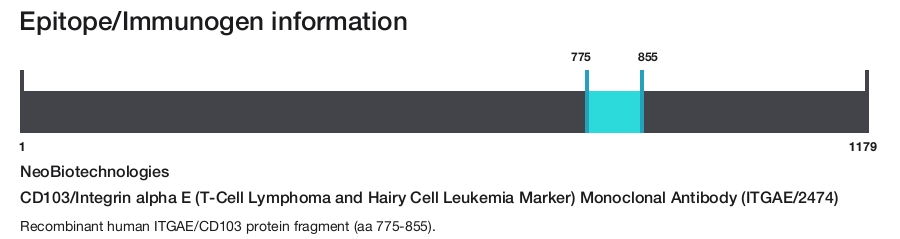 CD103/Integrin alpha E (T-Cell Lymphoma and Hairy Cell Leukemia Marker) Monoclonal Antibody (ITGAE/2474)